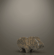 تمثال فرس النهر من الجرانيت الأسود، يظهر بتفاصيل دقيقة تعكس القوة والرقة، مصنوع بدقة من قبل الحرفيين المصريين القدماء