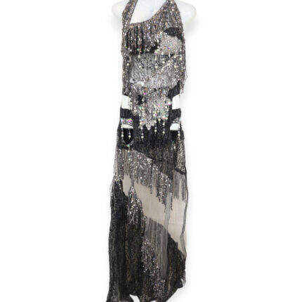 Shimmering Crystal Mirage bellydance costume