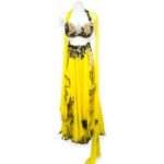Vibrant yellow Sunbeam Majesty belly dance costume