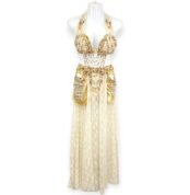 Golden sequined Desert Radiance belly dance costume