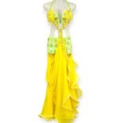 Yellow and lime Citrus Bloom belly dance costume