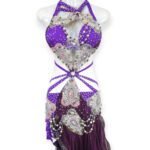 Royal Orchid purple belly dance costume with silver beads