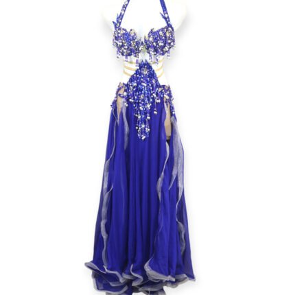 Royal blue Royal Bloom belly dance costume