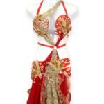 Crimson Flame red and gold belly dance costume with lace