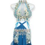Shimmering Crystal Breeze bellydance costume