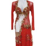 Vibrant red Ruby Flame belly dance costume