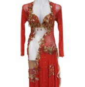 Vibrant red Ruby Flame belly dance costume