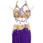 Violet Veil purple belly dance costume with gold beadwork