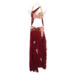 Maroon Velvet Rouge belly dance costume