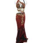 Floral-adorned Crimson Rose Elegance bellydance costume
