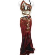Floral-adorned Crimson Rose Elegance bellydance costume