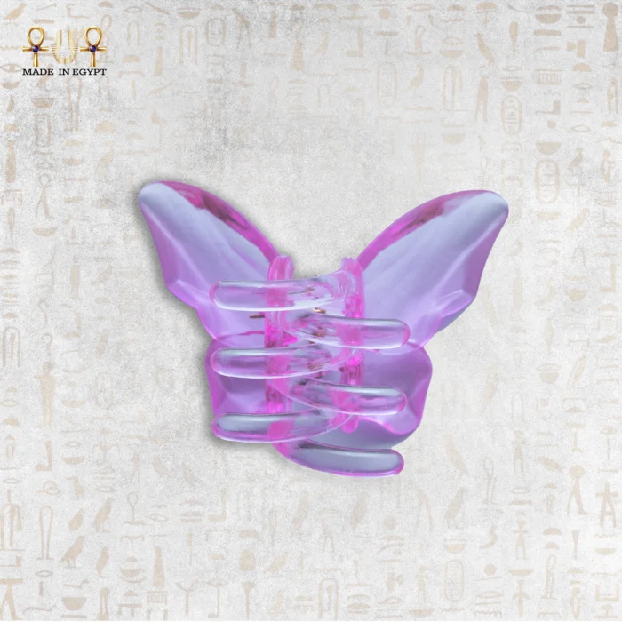 Butterfly-shaped hair clip viewed from the front