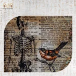 Detailed illustration of skeleton and bird on the Memories Box.