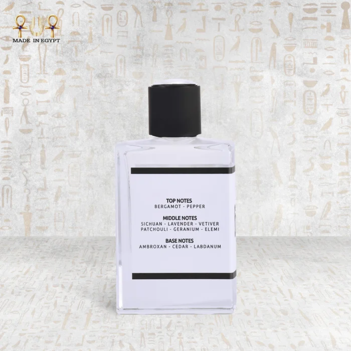 Memorise perfume for men with elegant masculine design