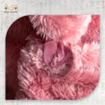 Close-up of the pink microfiber towel's fastening loop showing soft texture and fine stitching.