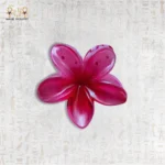 Top view of the Pink Clasp, showcasing its flower shape.