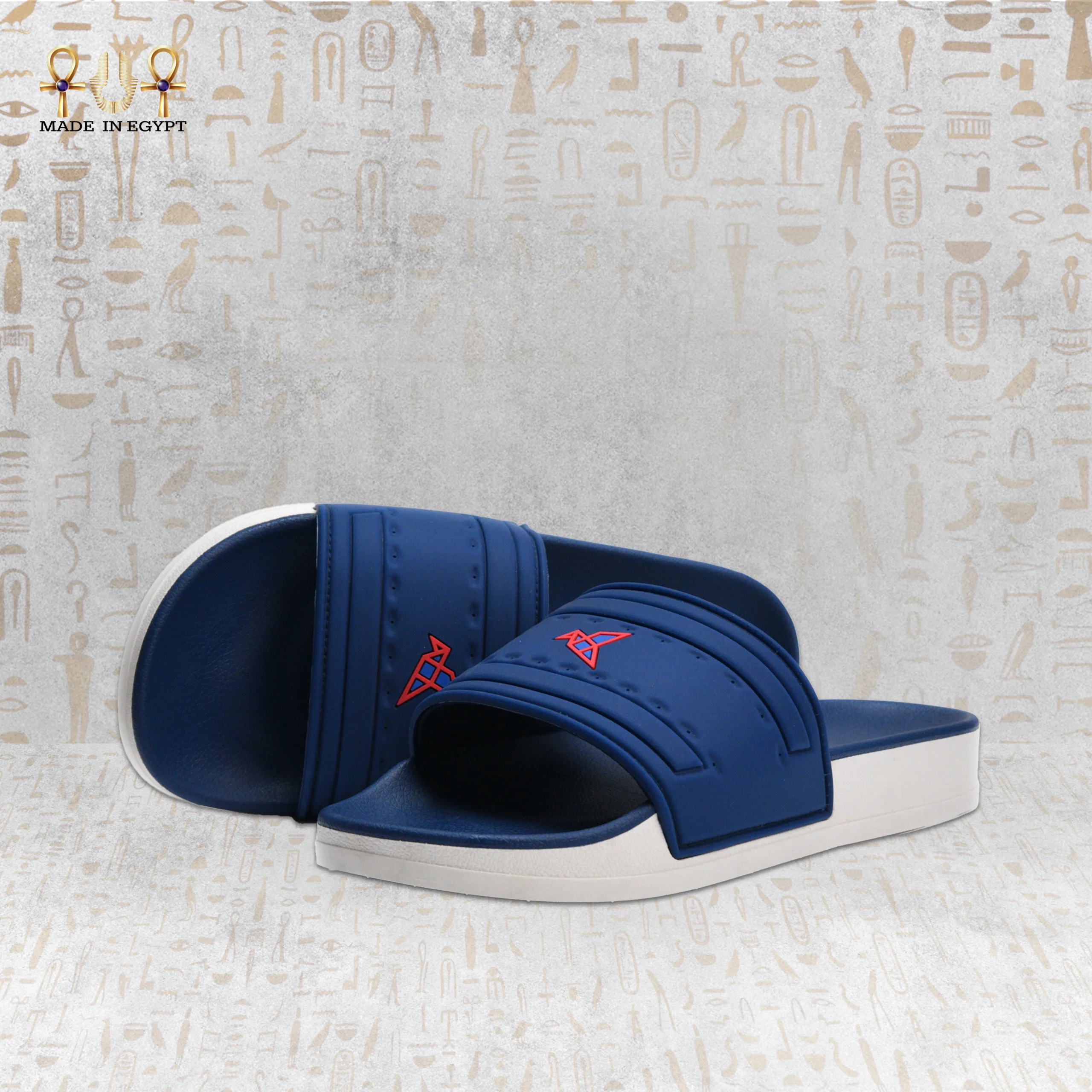 @10A VION Motion Slide