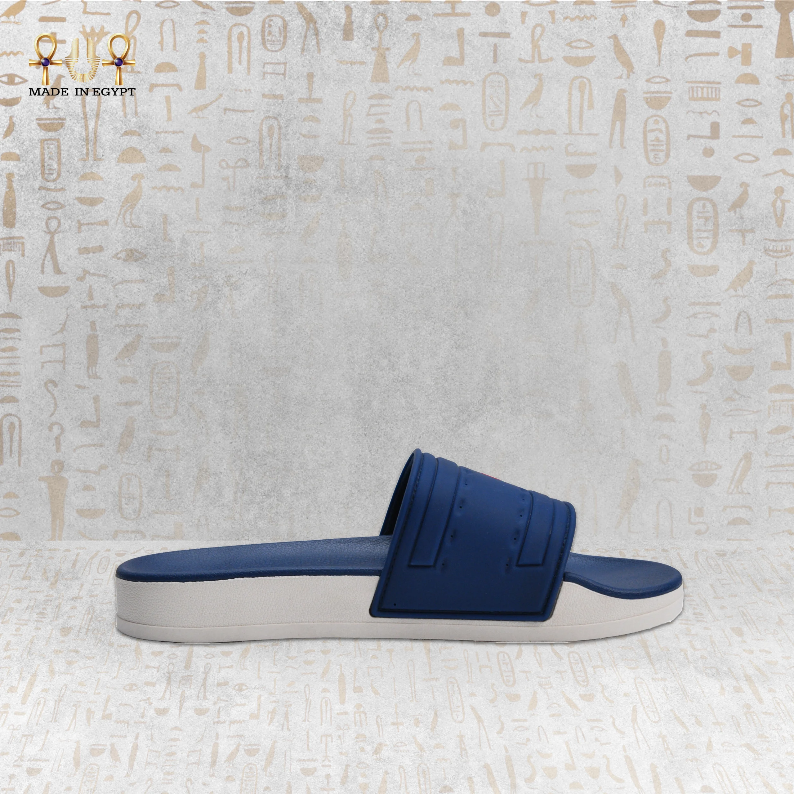 @10D VION Motion Slide