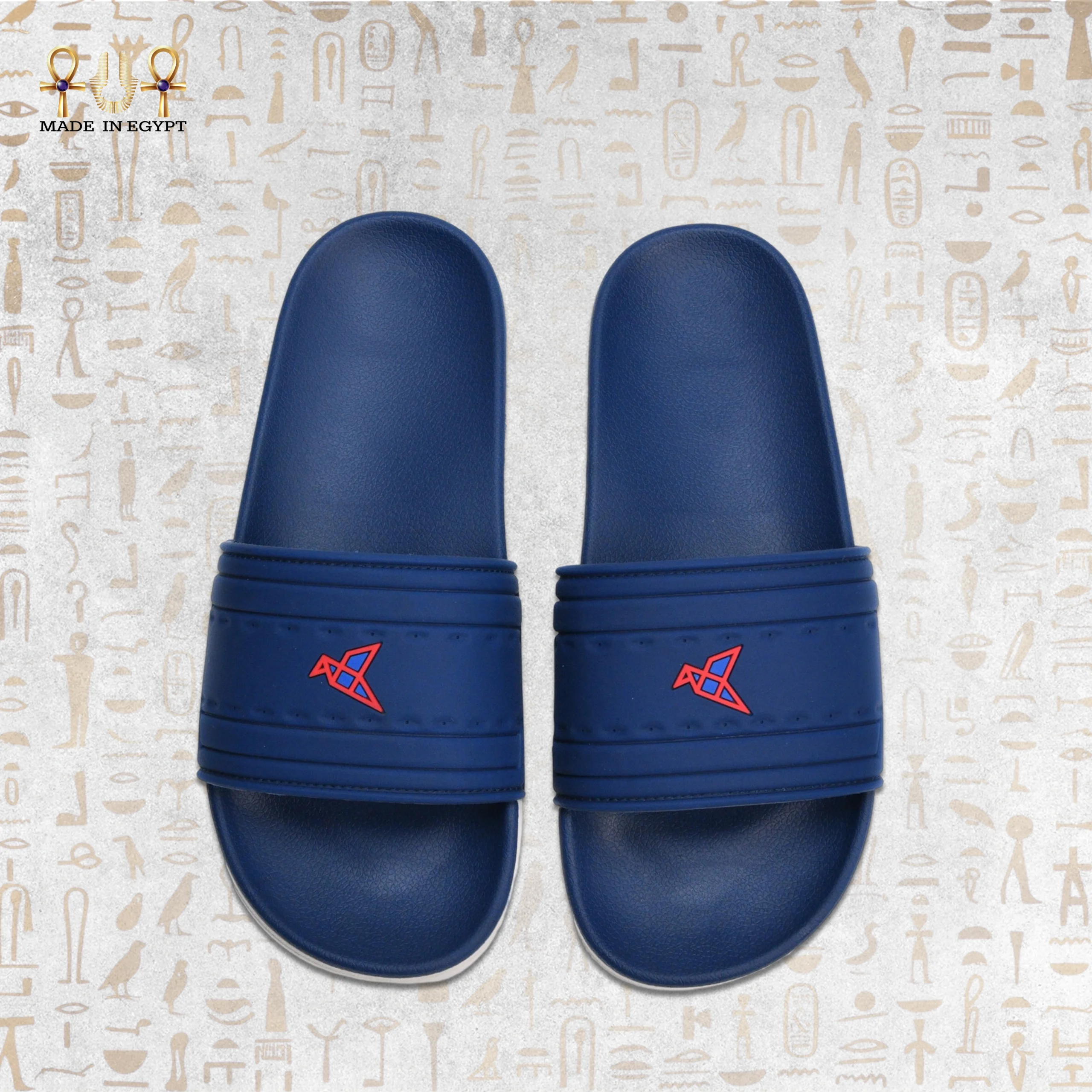 @10E VION Motion Slide