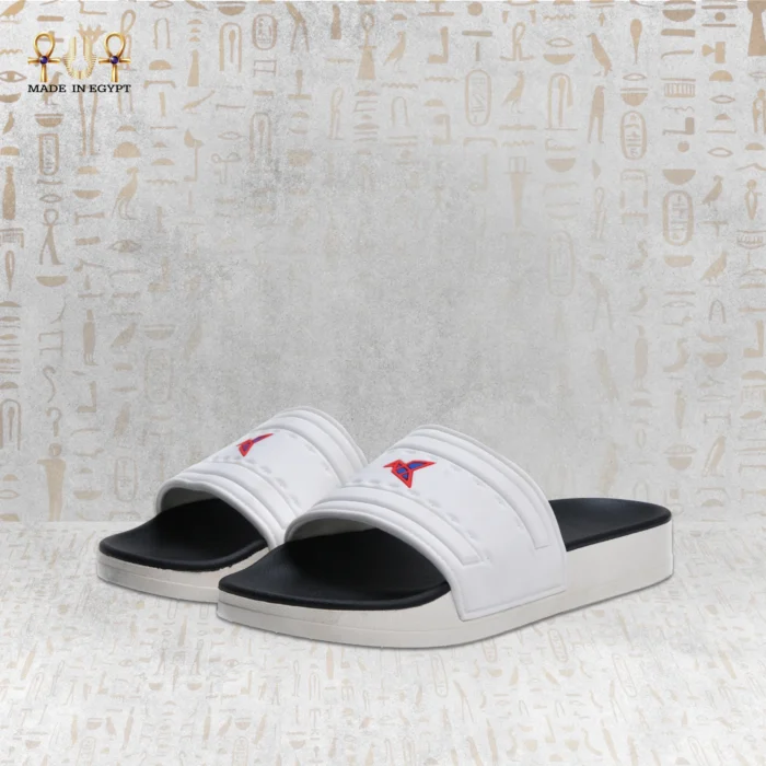 ⁦فيون موشن سلايد⁩ - الصورة ⁦12⁩