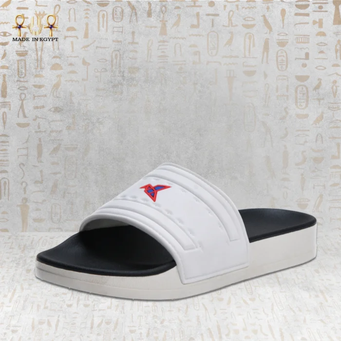 ⁦فيون موشن سلايد⁩ - الصورة ⁦10⁩