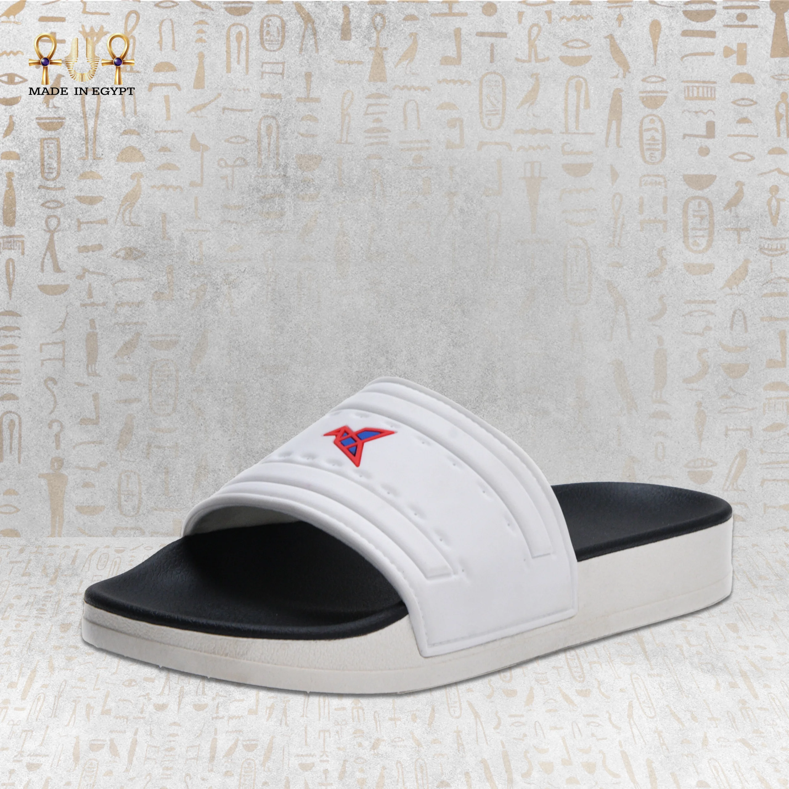 @10H VION Motion Slide