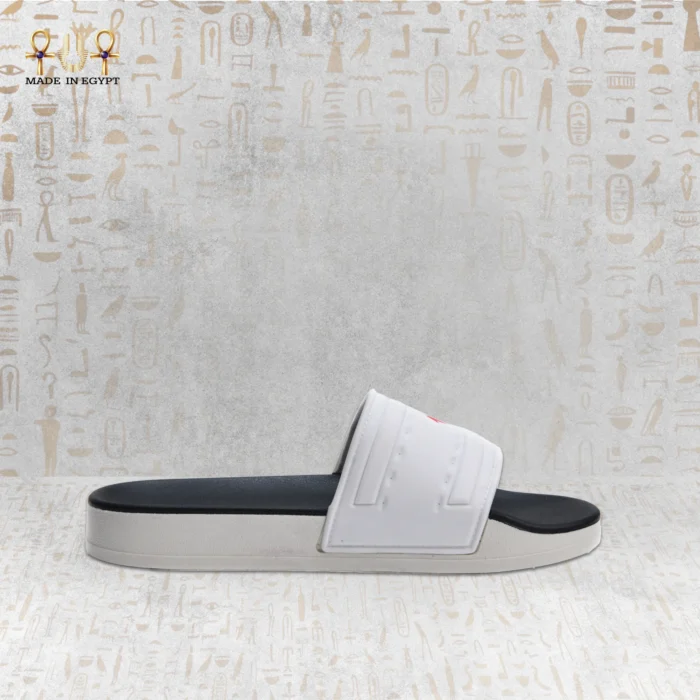 ⁦فيون موشن سلايد⁩ - الصورة ⁦9⁩