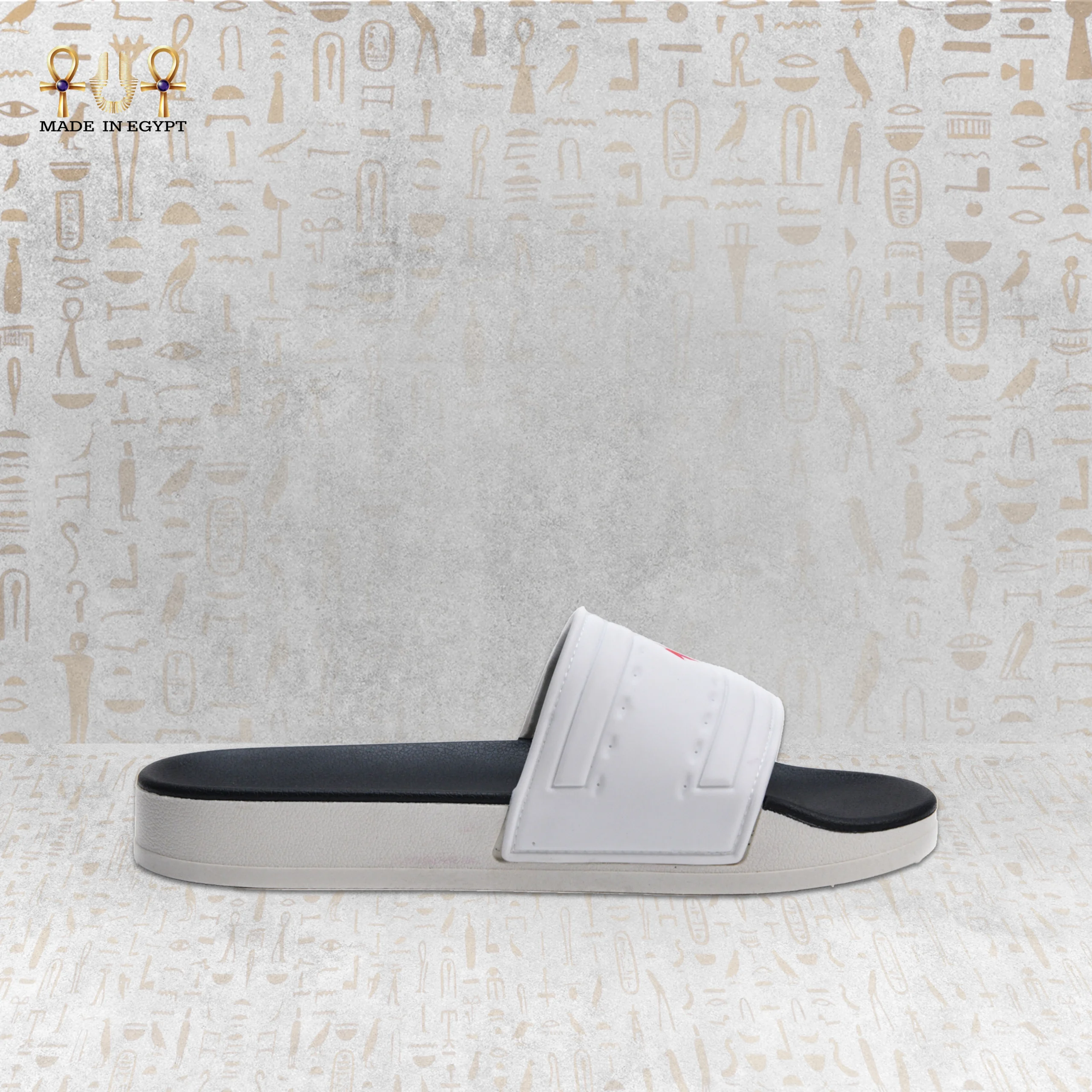 @10I VION Motion Slide