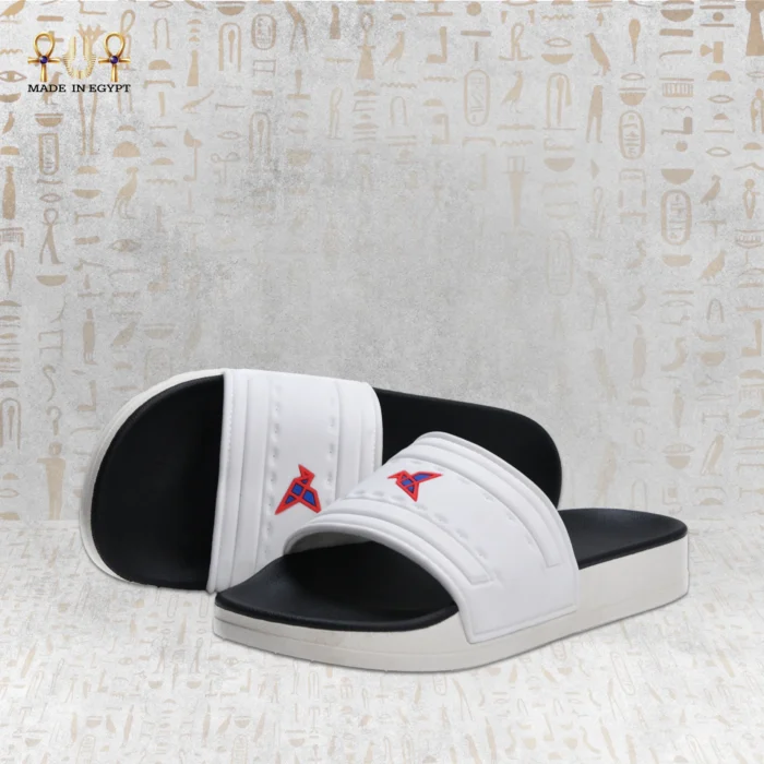 ⁦فيون موشن سلايد⁩ - الصورة ⁦8⁩