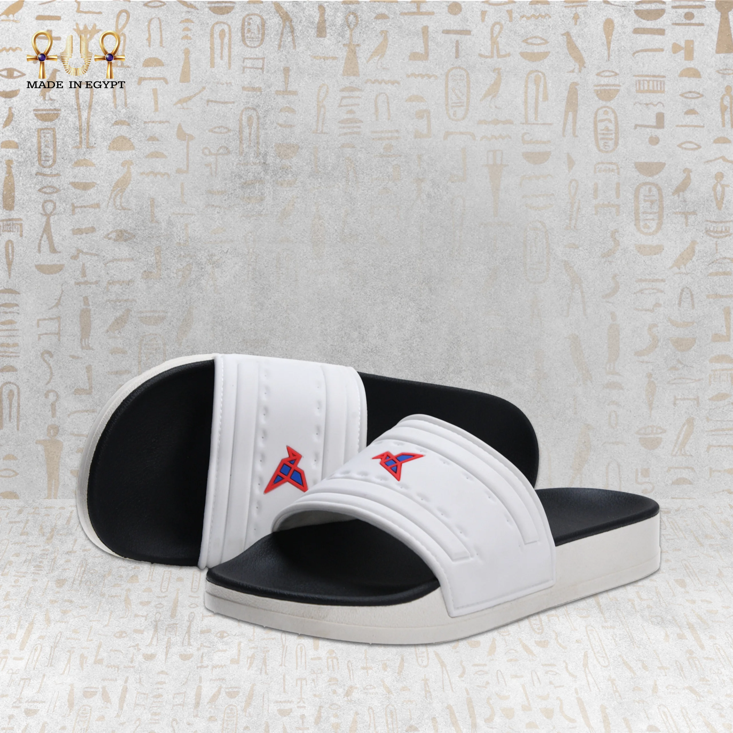 @10J VION Motion Slide