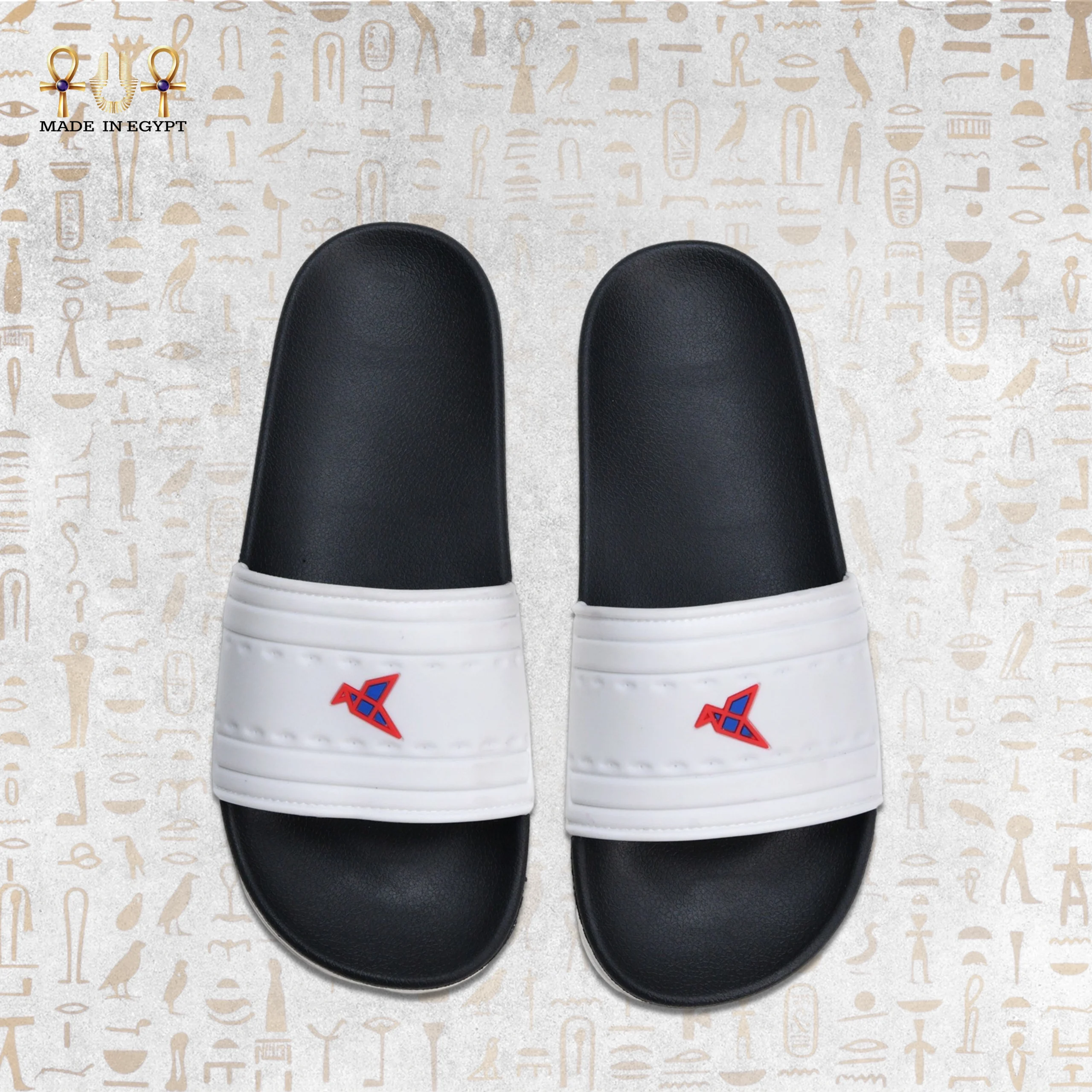 @10K VION Motion Slide