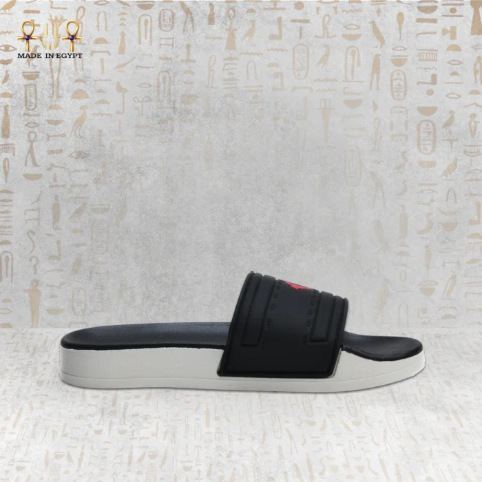 ⁦فيون موشن سلايد⁩ - الصورة ⁦4⁩