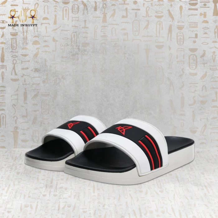 VION Energy Slide - Image 12