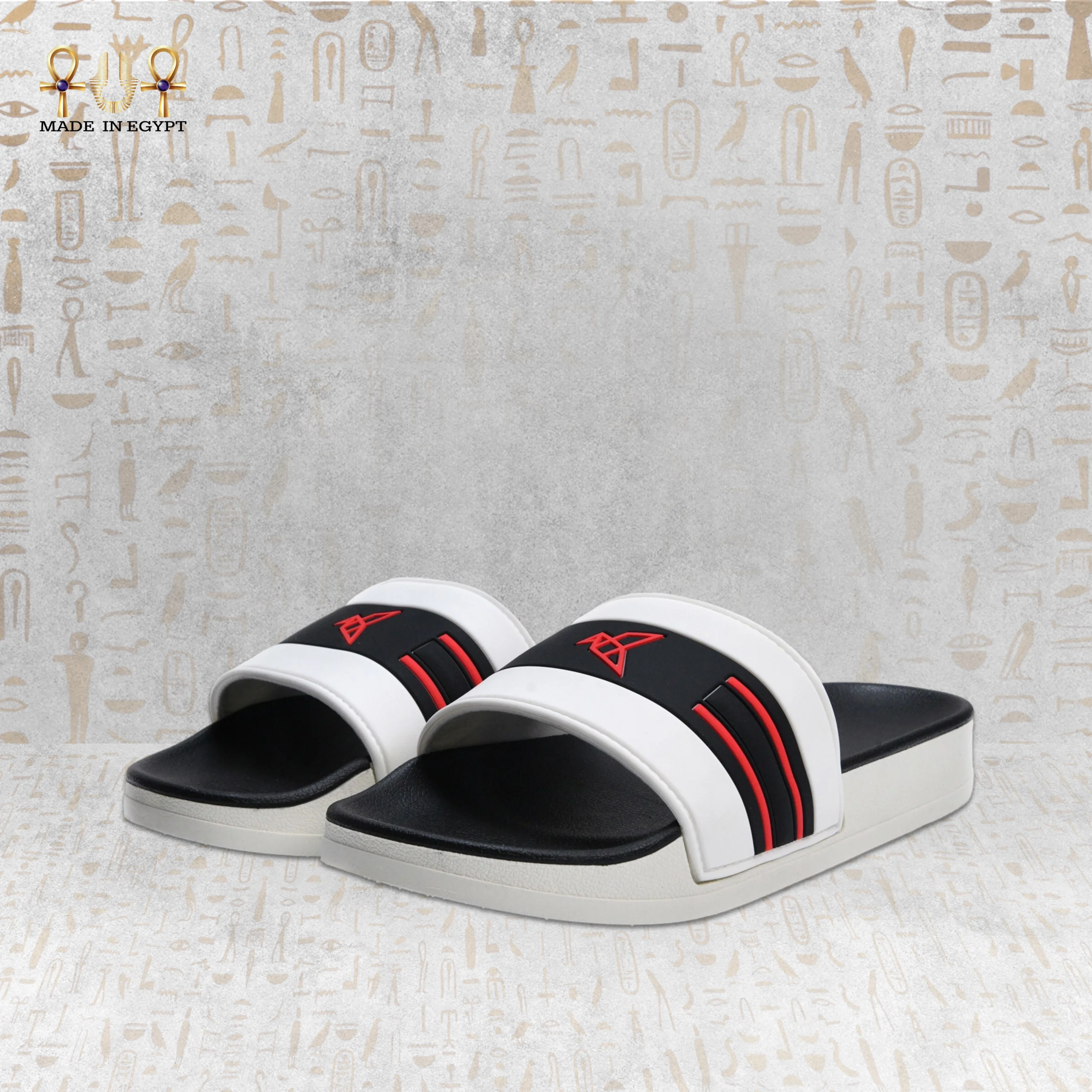 @11 VION Energy Slide