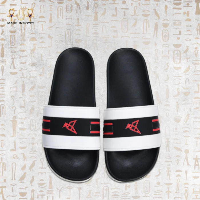 VION Energy Slide - Image 10