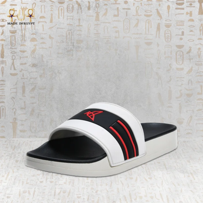 VION Energy Slide - Image 9