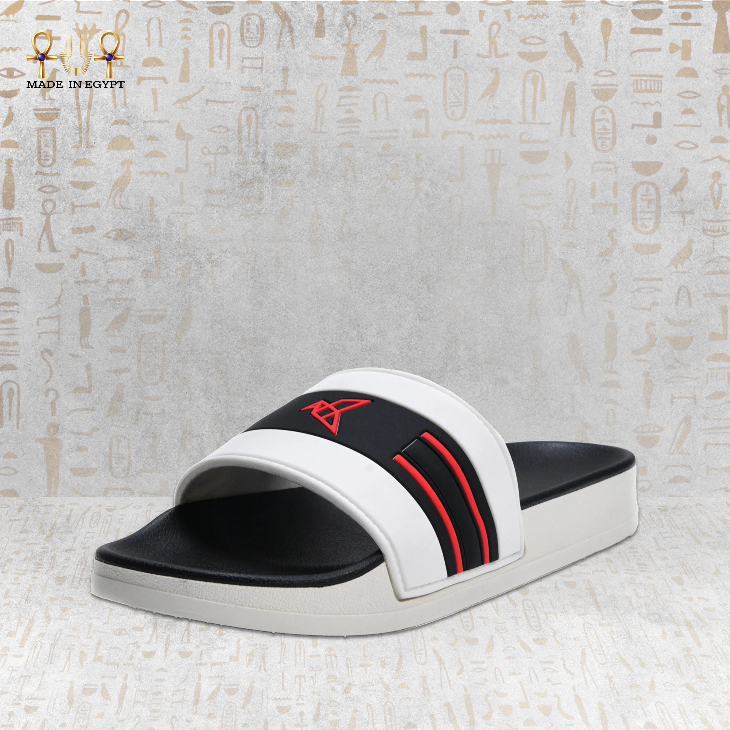 @11C VION Energy Slide