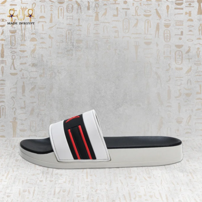 VION Energy Slide - Image 8