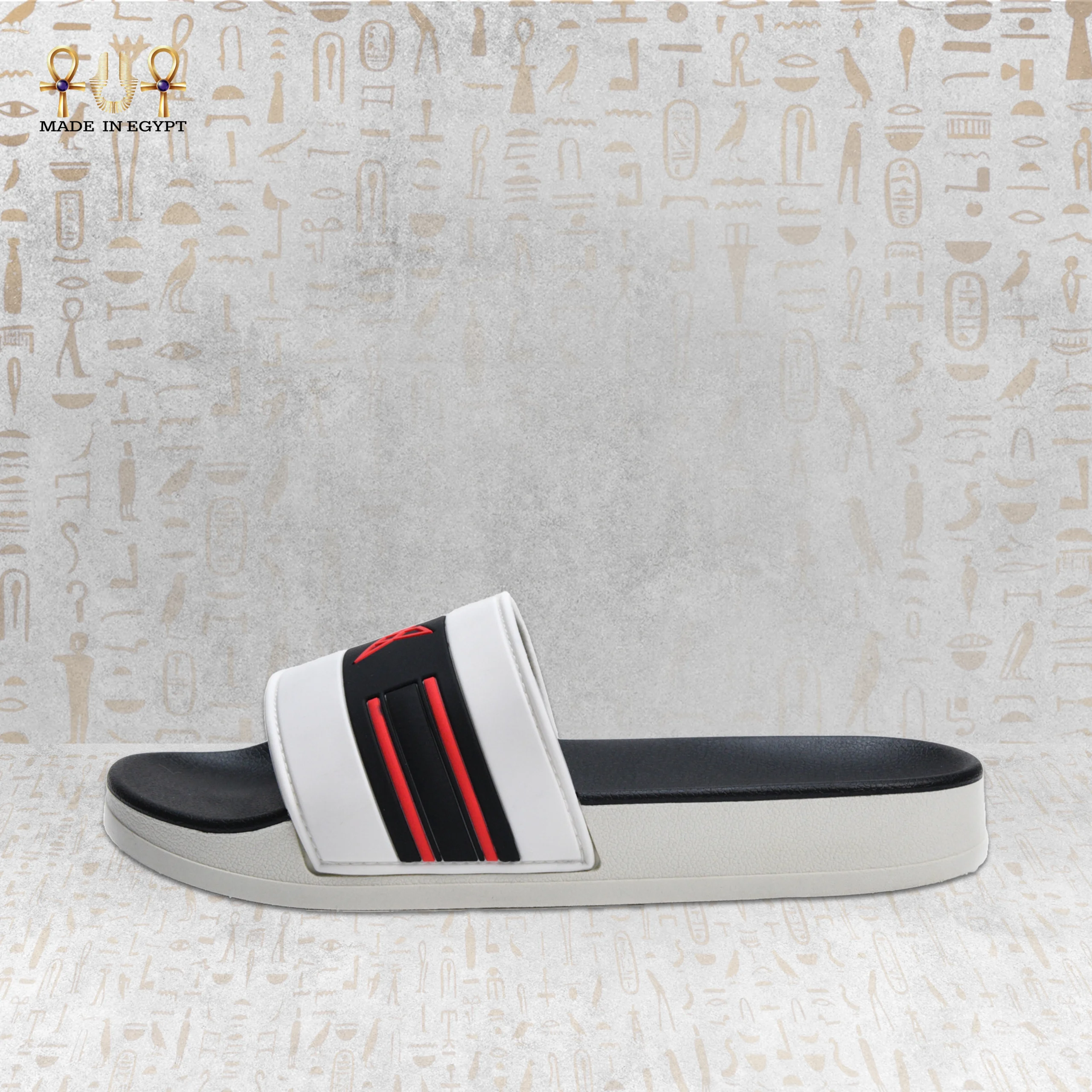 @11D VION Energy Slide