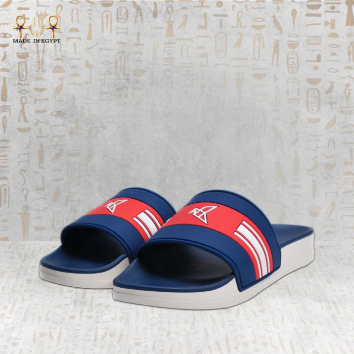 VION Energy Slide - Image 6