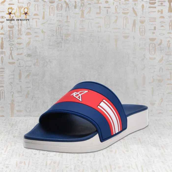 VION Energy Slide - Image 5