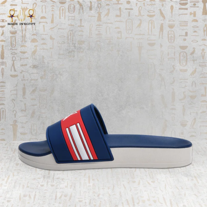 VION Energy Slide - Image 4