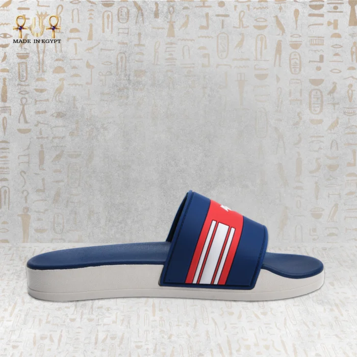 VION Energy Slide - Image 3