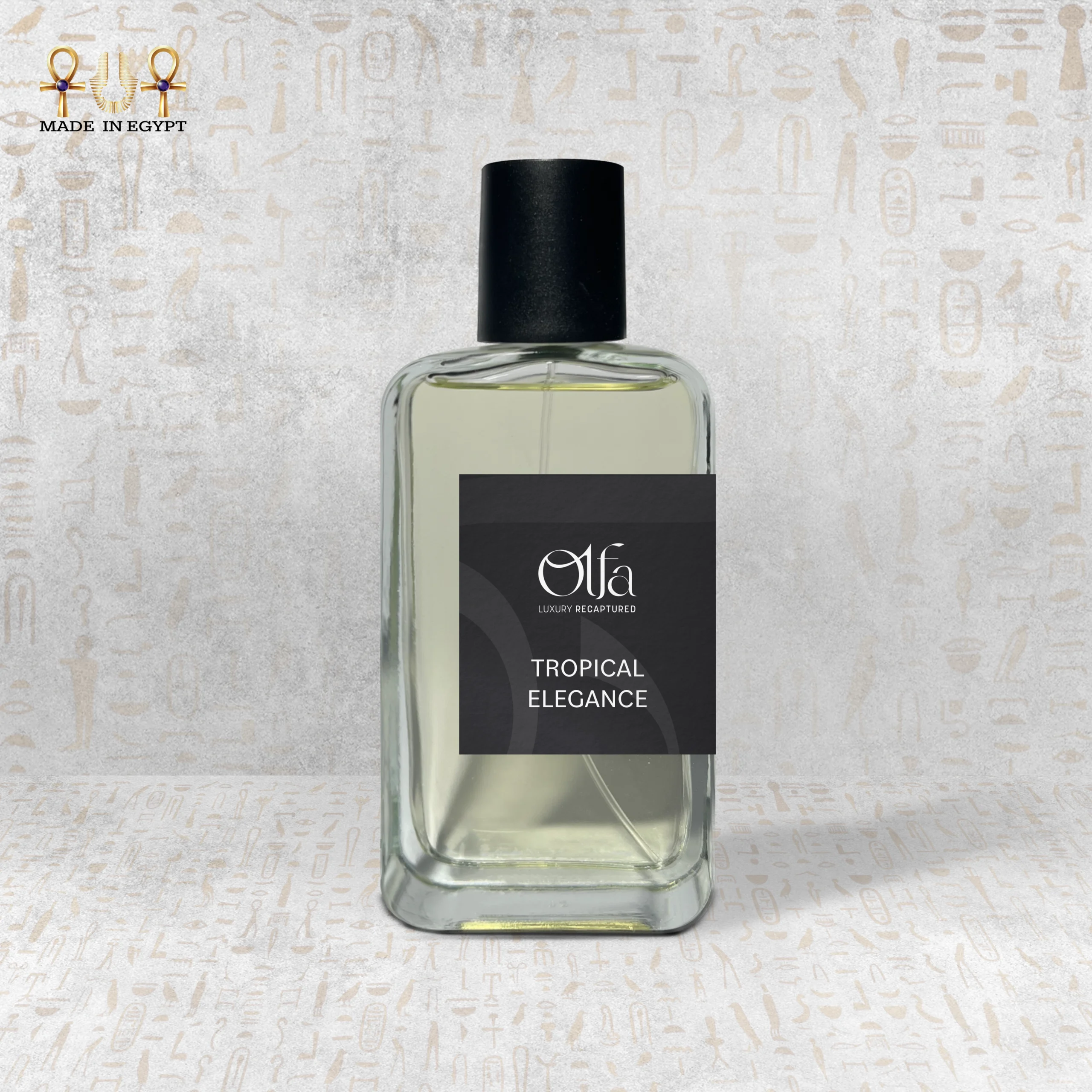 @16ATropical Elegance