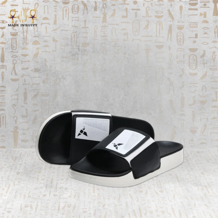 ⁦سلايد القوة المصرية⁩ - الصورة ⁦10⁩