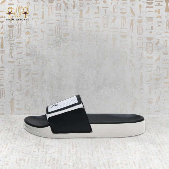 ⁦سلايد القوة المصرية⁩ - الصورة ⁦8⁩