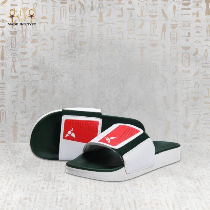 ⁦سلايد القوة المصرية⁩ - الصورة ⁦6⁩