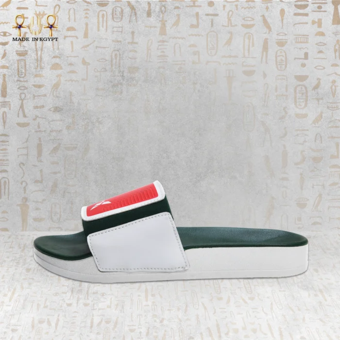 ⁦سلايد القوة المصرية⁩ - الصورة ⁦4⁩