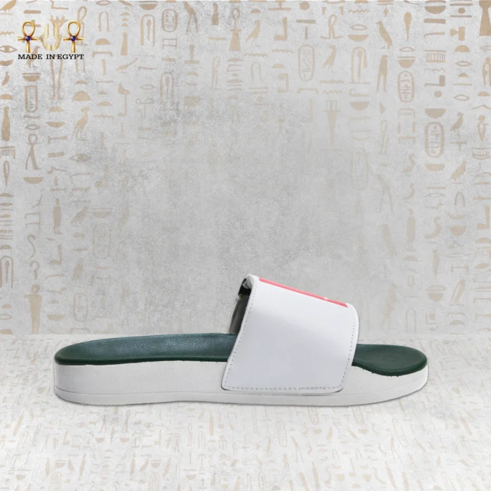 ⁦سلايد القوة المصرية⁩ - الصورة ⁦3⁩