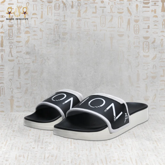 Icon Style Slides - Image 12